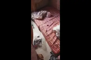Ngintip Pacar Sendirian Desah Panjang Nikmat